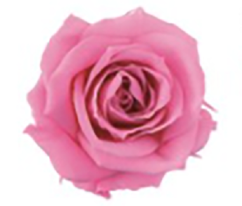 상품 섬네일 상품 섬네일