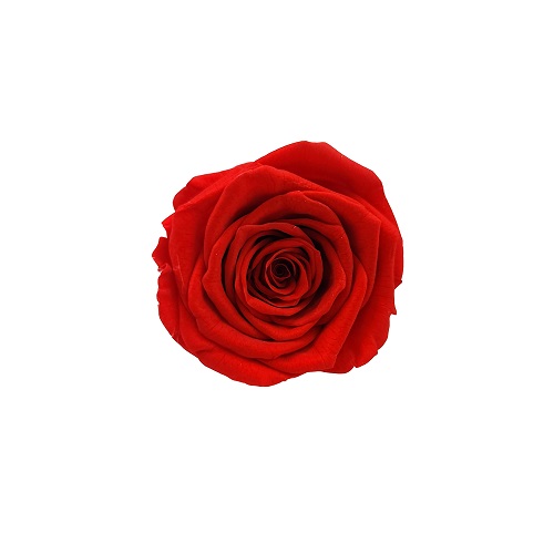 상품 섬네일 상품 섬네일