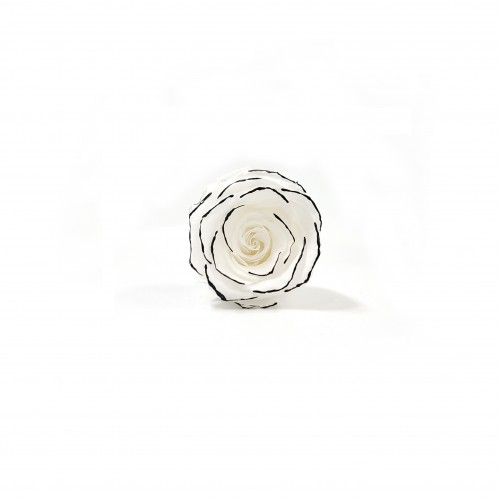 상품 섬네일 상품 섬네일