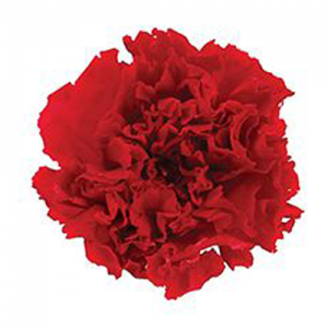 상품 섬네일 상품 섬네일