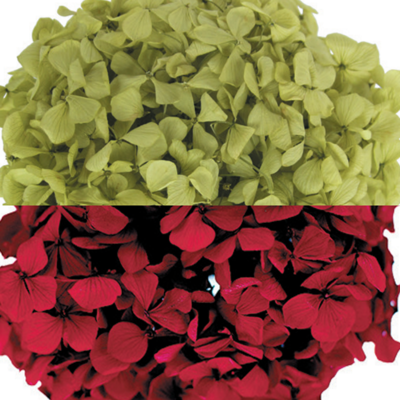 상품 섬네일 상품 섬네일