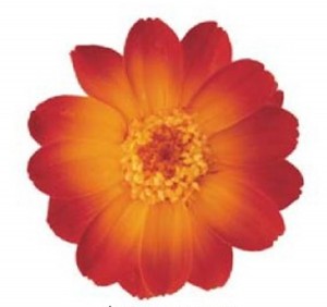 상품 섬네일 상품 섬네일