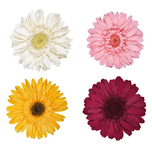 상품 섬네일 상품 섬네일