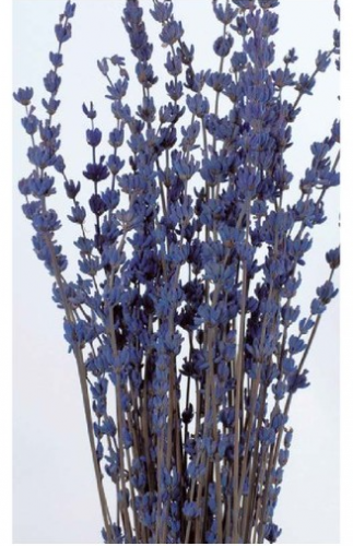 상품 섬네일 상품 섬네일