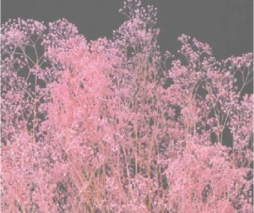 상품 섬네일 상품 섬네일